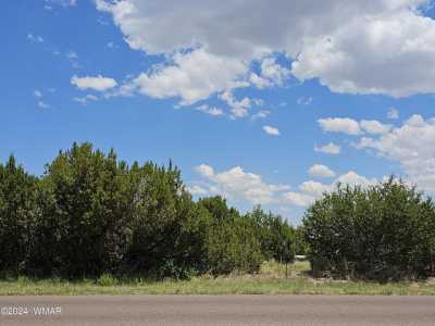 Residential Land For Sale in Eagar, Arizona