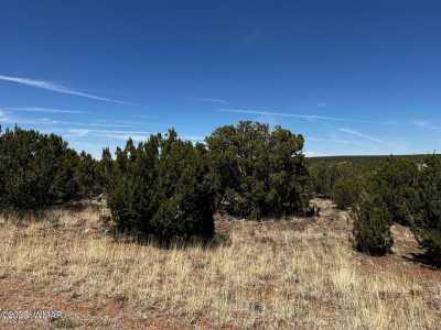 Residential Land For Sale in White Mountain Lake, Arizona