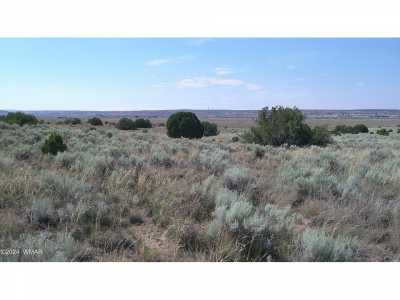 Residential Land For Sale in Sanders, Arizona