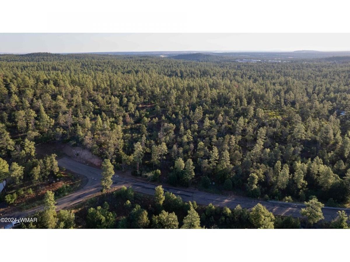 Picture of Residential Land For Sale in Lakeside, Arizona, United States