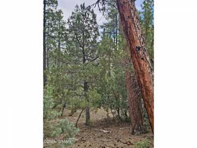 Residential Land For Sale in Lakeside, Arizona