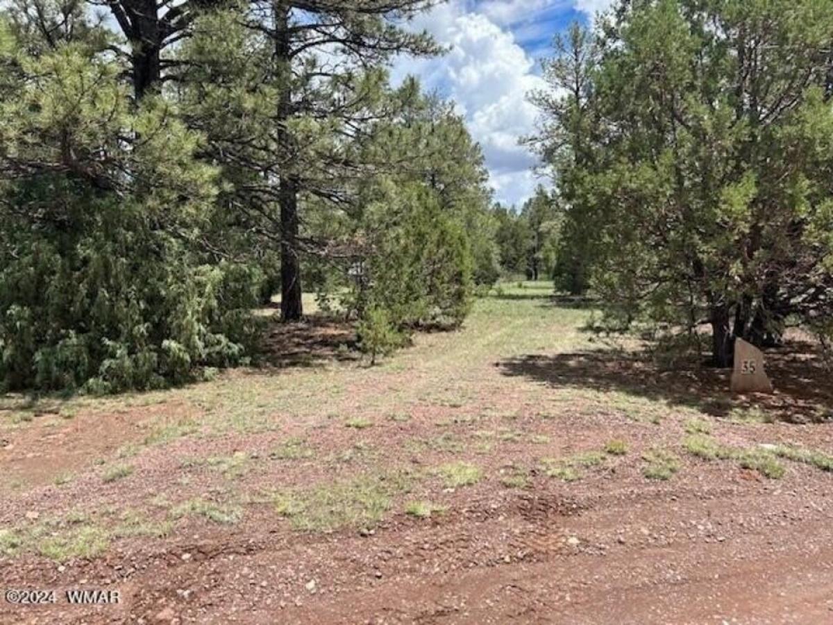 Picture of Residential Land For Sale in Nutrioso, Arizona, United States