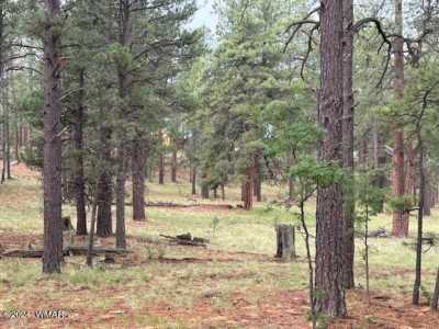 Residential Land For Sale in Alpine, Arizona