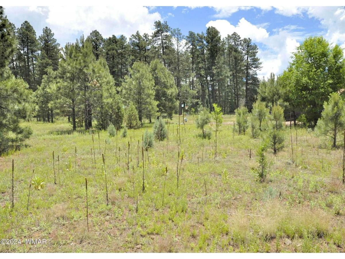 Picture of Residential Land For Sale in Pinetop, Arizona, United States