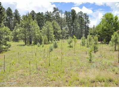 Residential Land For Sale in Pinetop, Arizona