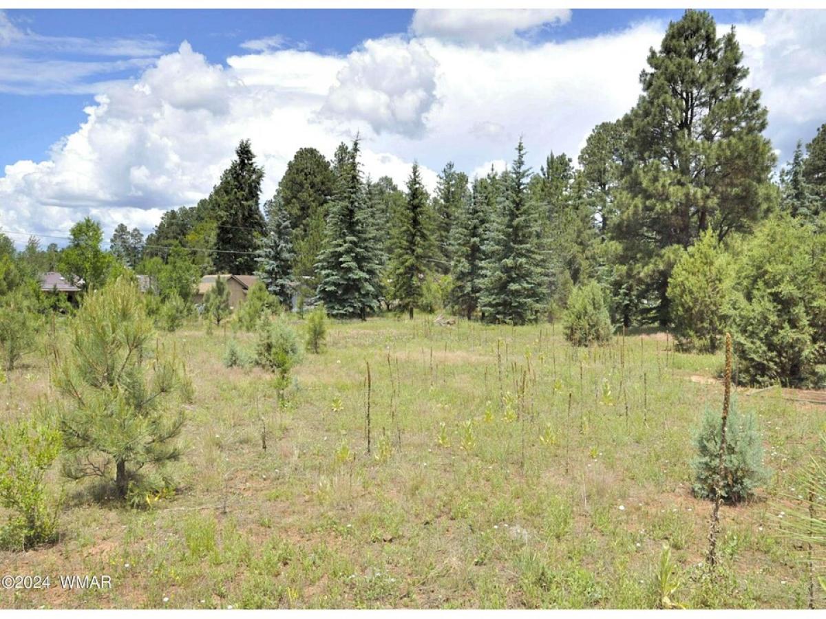 Picture of Residential Land For Sale in Pinetop, Arizona, United States