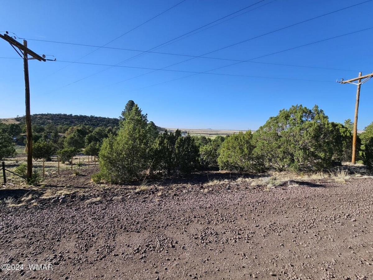 Picture of Residential Land For Sale in Eagar, Arizona, United States