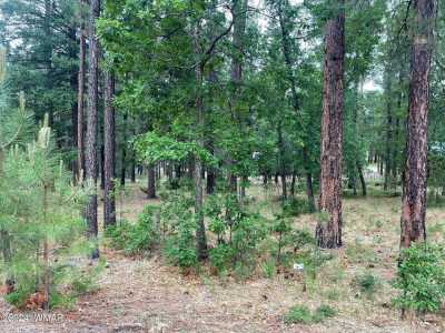 Residential Land For Sale in Alpine, Arizona