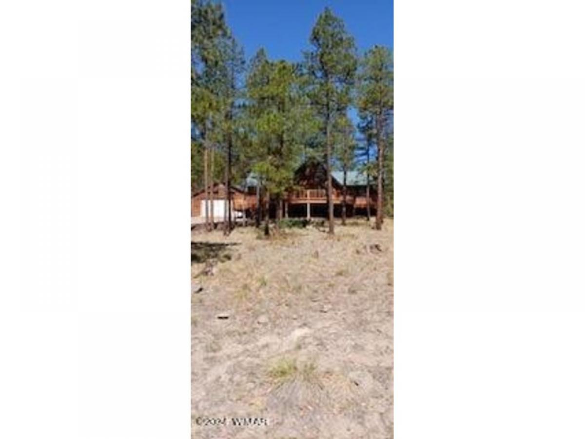 Picture of Home For Sale in Alpine, Arizona, United States