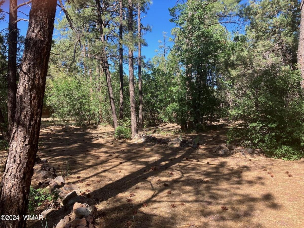 Picture of Residential Land For Sale in Lakeside, Arizona, United States