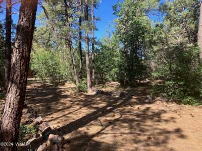 Residential Land For Sale in Lakeside, Arizona