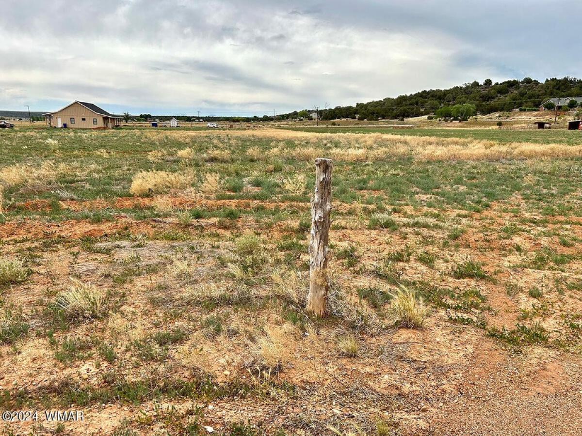 Picture of Residential Land For Sale in Taylor, Arizona, United States