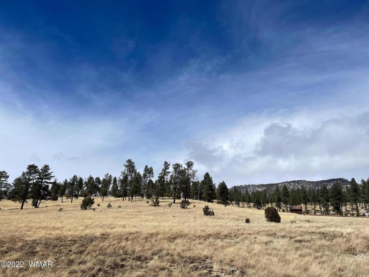 Picture of Residential Land For Sale in Alpine, Arizona, United States