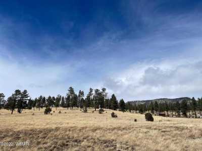 Residential Land For Sale in Alpine, Arizona