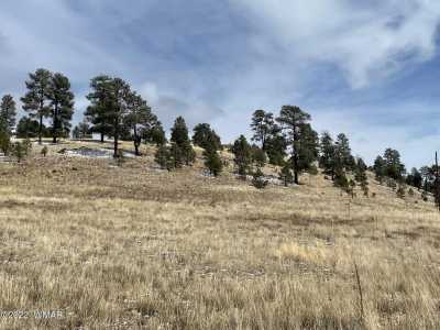 Residential Land For Sale in Alpine, Arizona