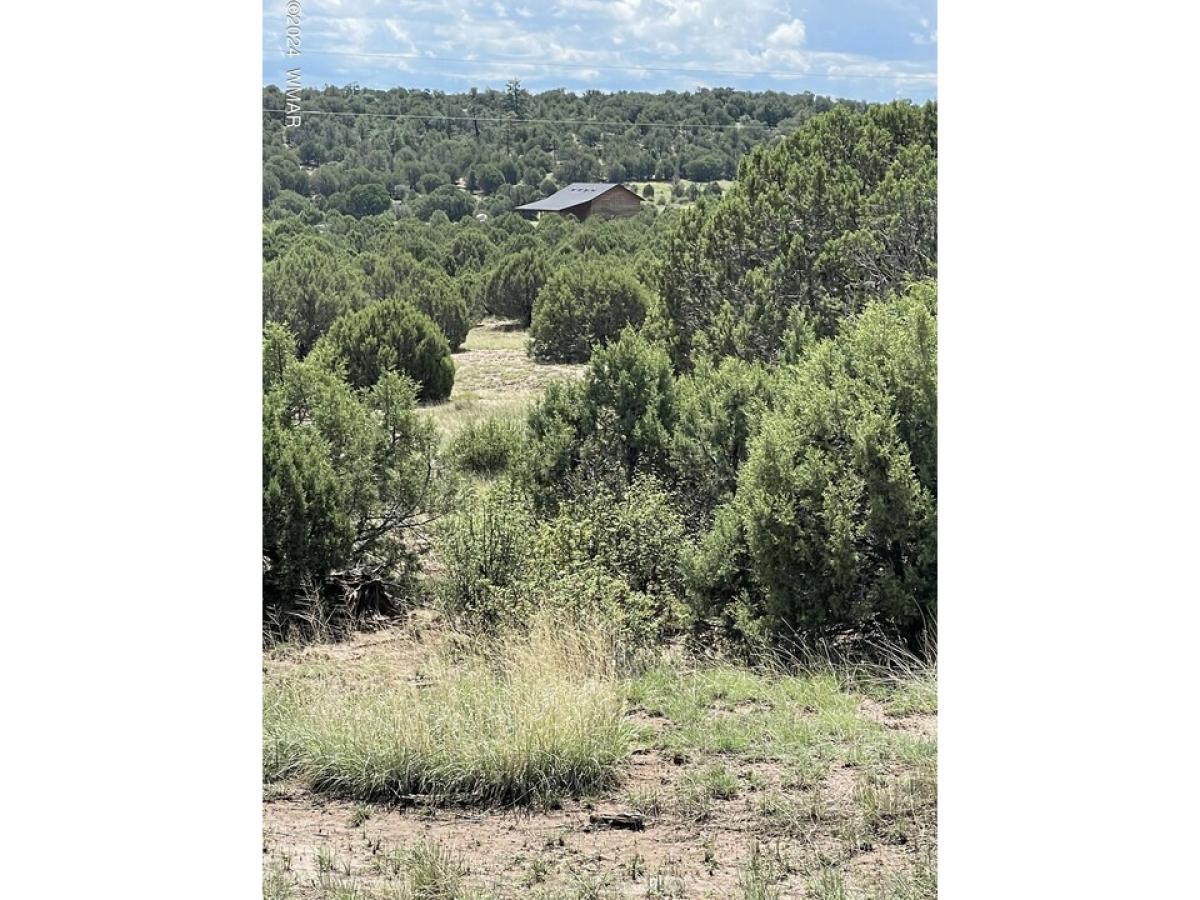 Picture of Residential Land For Sale in Burton, Arizona, United States