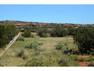 Residential Land For Sale in Concho Valley, Arizona