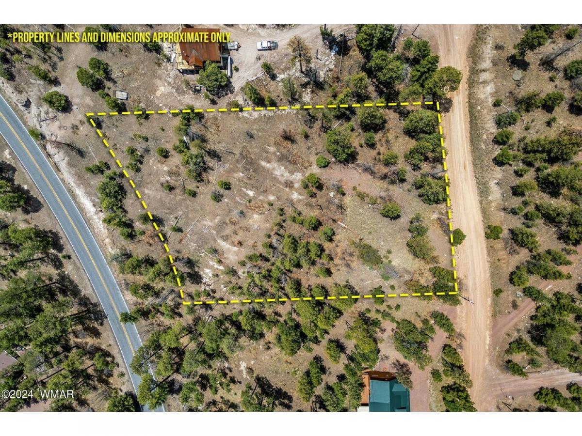 Picture of Residential Land For Sale in Alpine, Arizona, United States