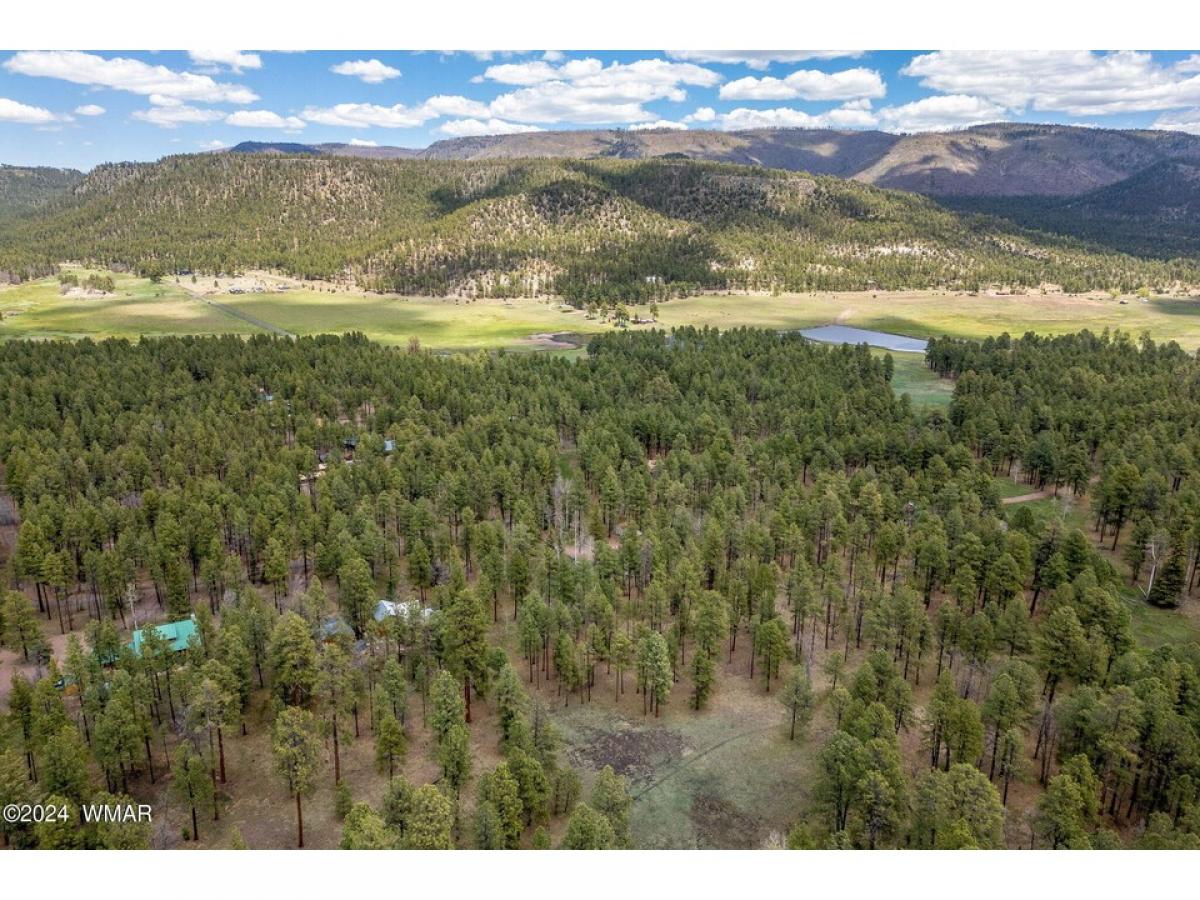 Picture of Residential Land For Sale in Alpine, Arizona, United States