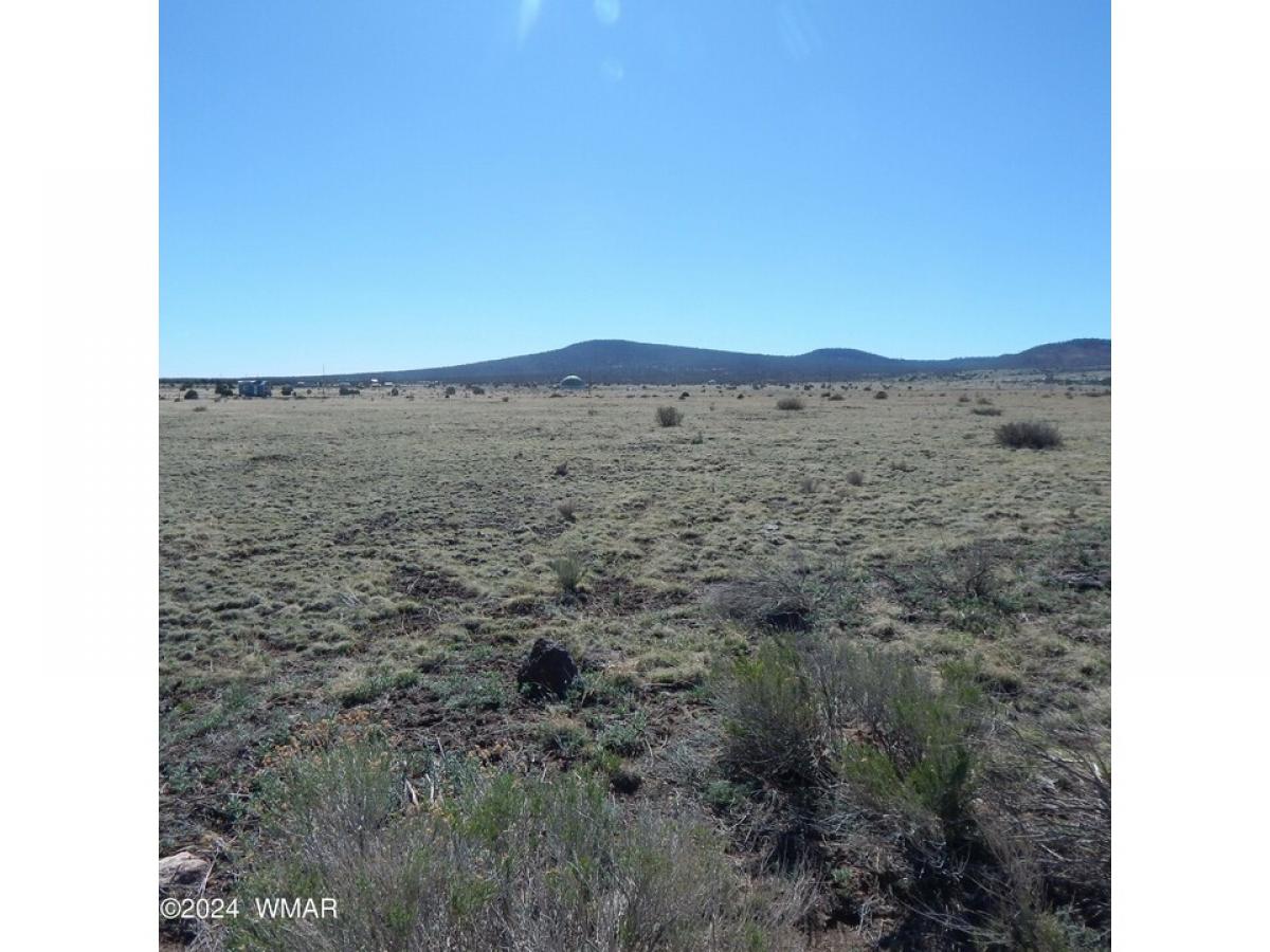 Picture of Residential Land For Sale in Nutrioso, Arizona, United States