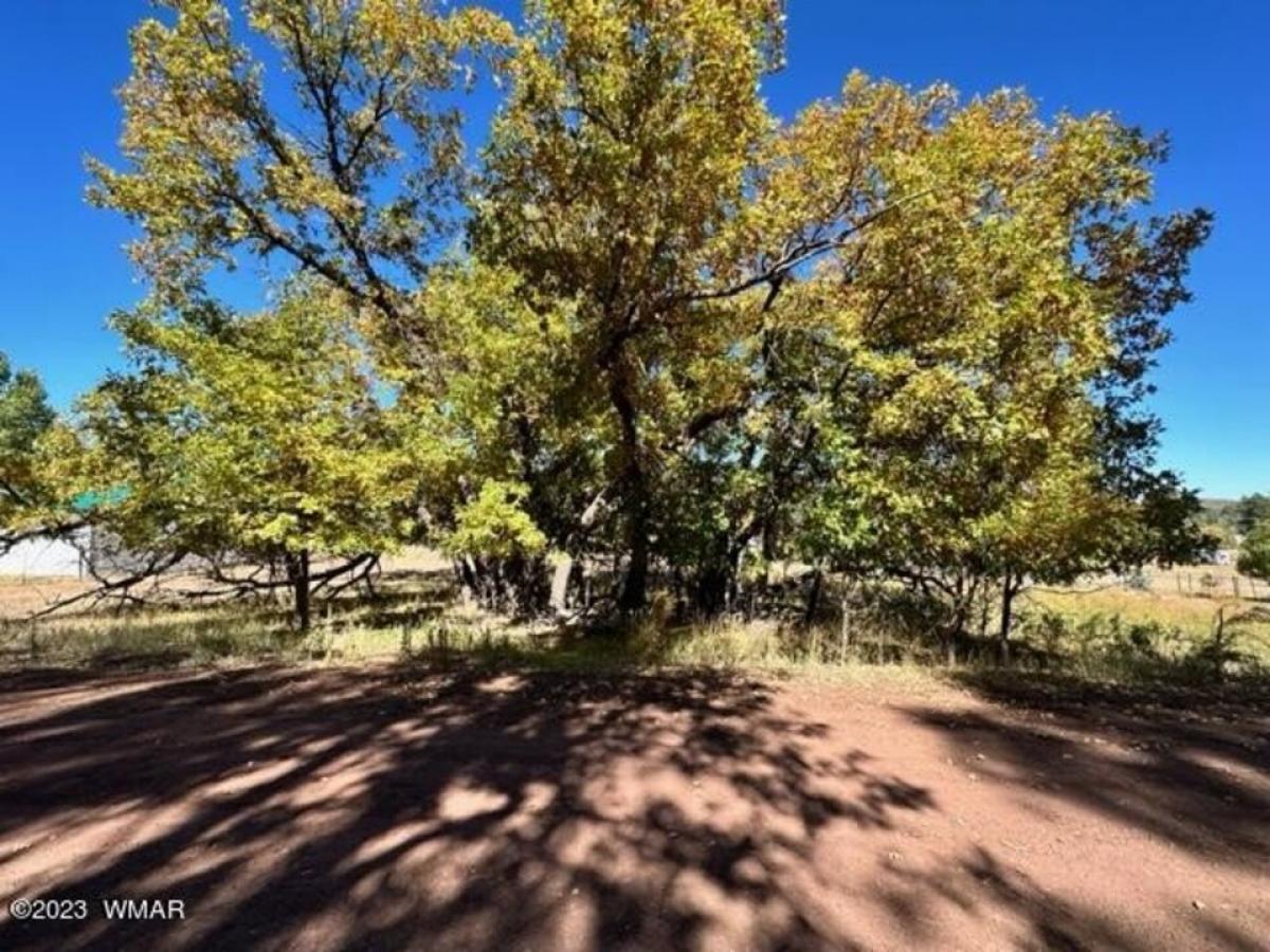 Picture of Residential Land For Sale in Pinedale, Arizona, United States