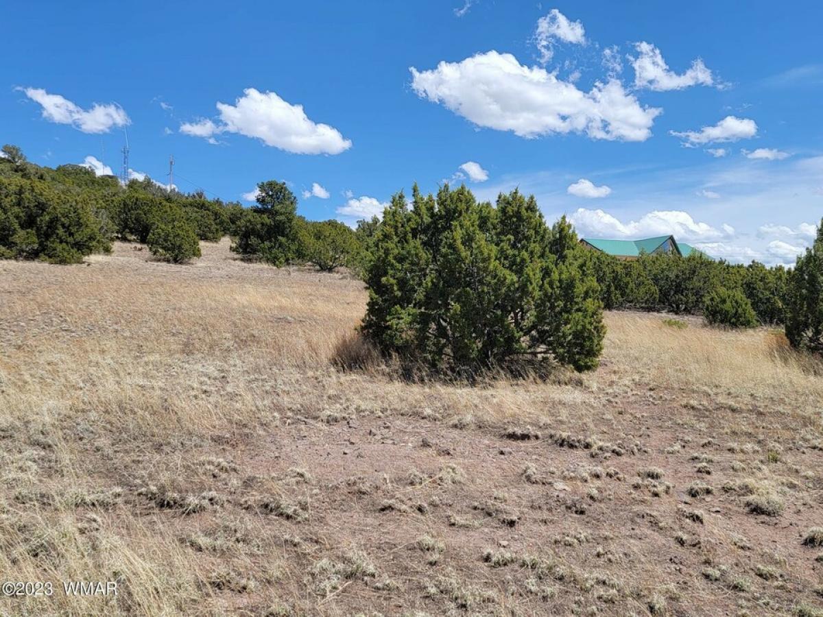 Picture of Residential Land For Sale in Eagar, Arizona, United States