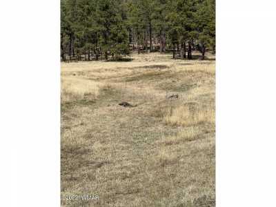 Residential Land For Sale in Alpine, Arizona