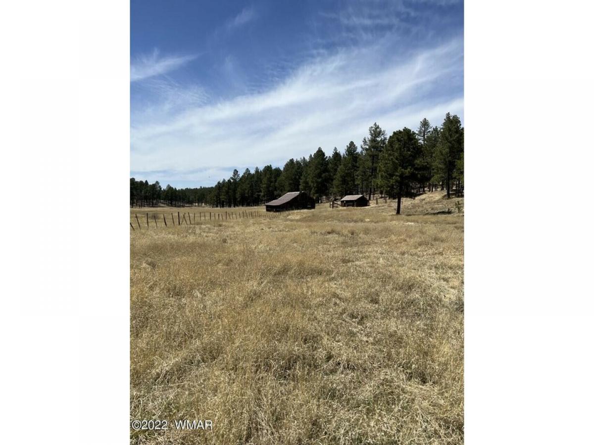 Picture of Residential Land For Sale in Alpine, Arizona, United States