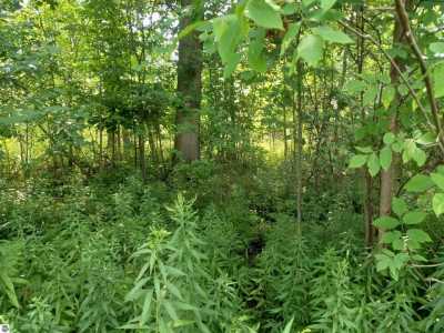 Residential Land For Sale in Au Gres, Michigan