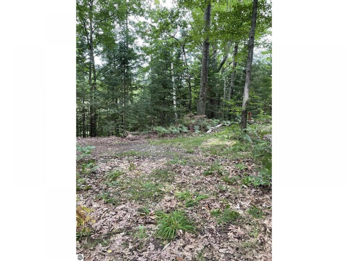 Picture of Residential Land For Sale in Lupton, Michigan, United States