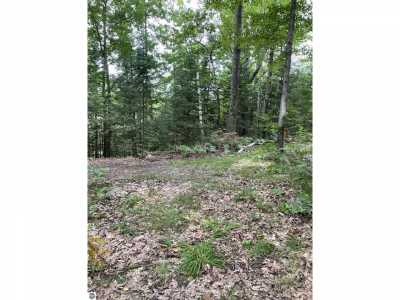 Residential Land For Sale in Lupton, Michigan