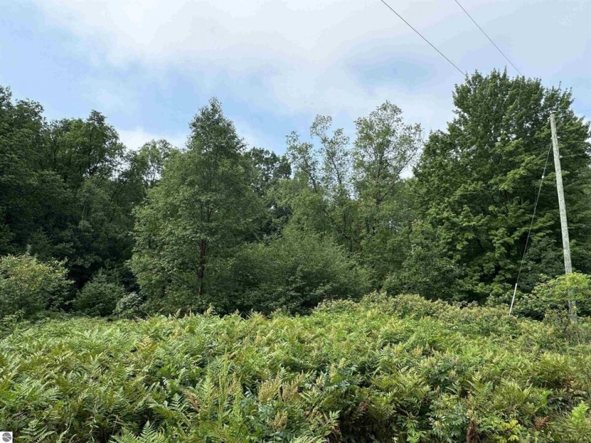 Picture of Residential Land For Sale in Kaleva, Michigan, United States