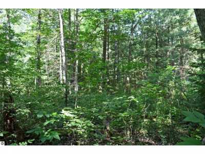 Residential Land For Sale in Greenbush, Michigan