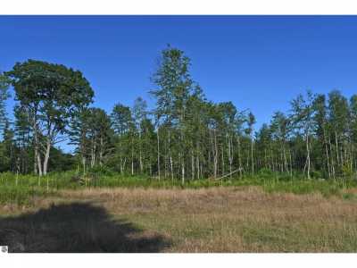 Residential Land For Sale in Greenbush, Michigan