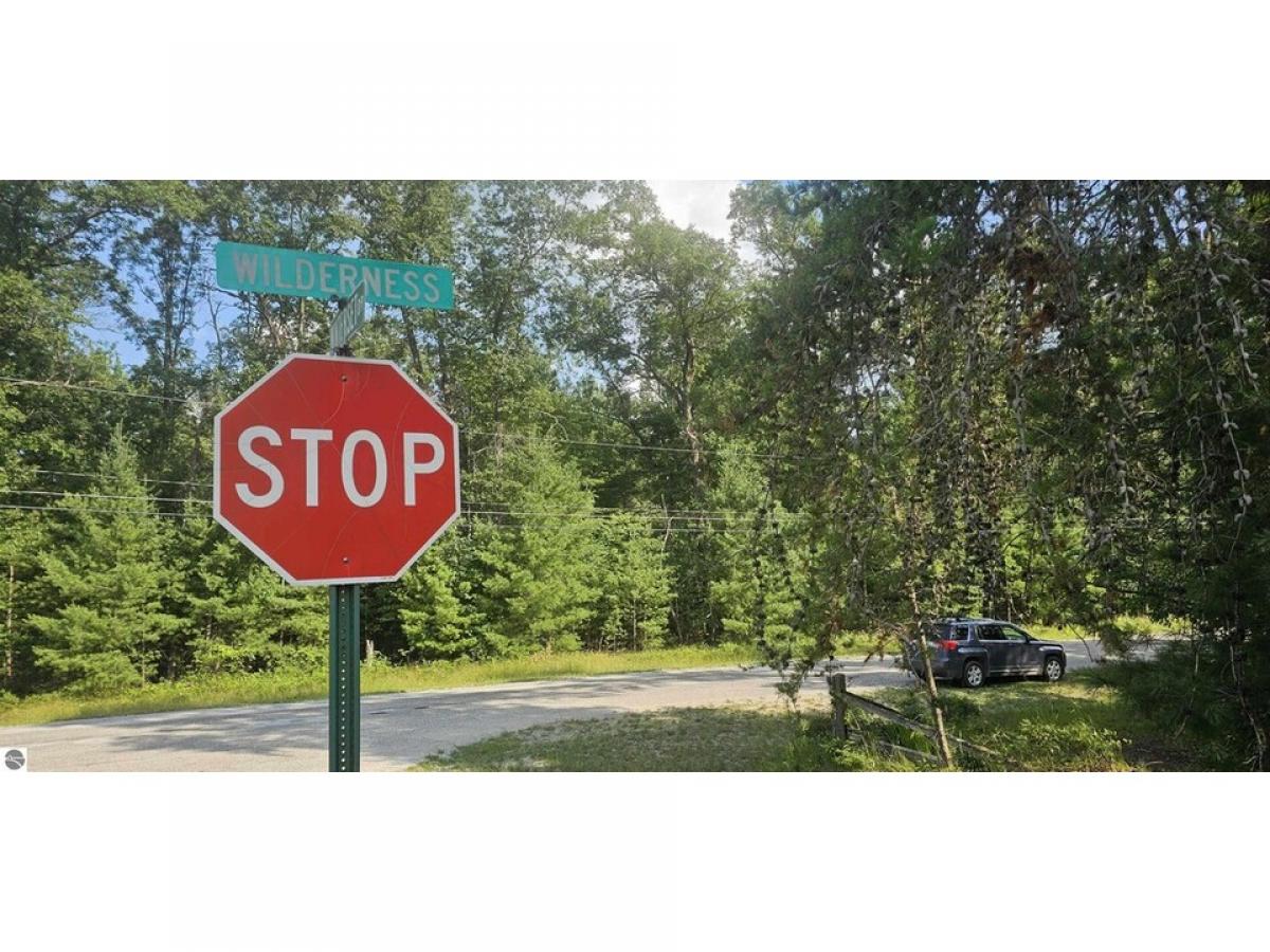 Picture of Residential Land For Sale in Alger, Michigan, United States