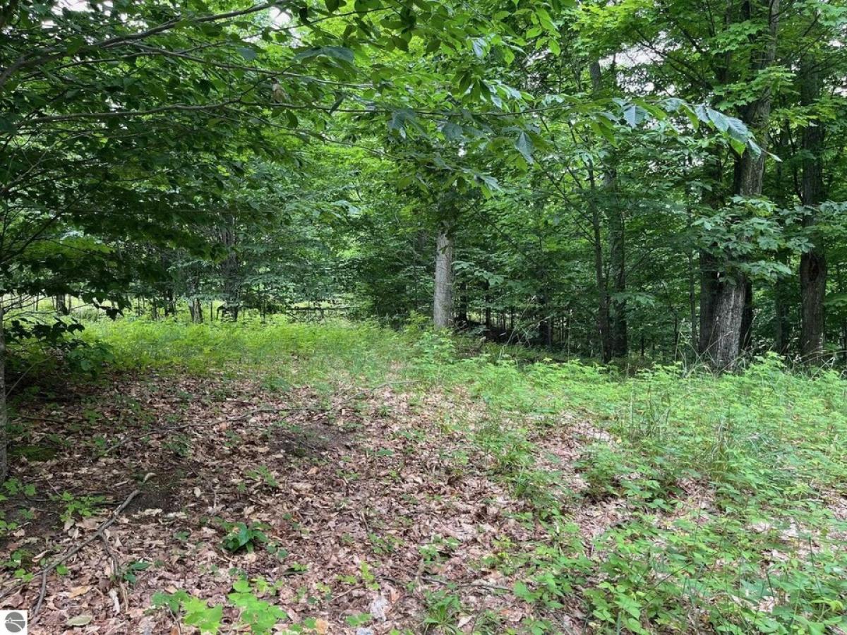 Picture of Residential Land For Sale in Empire, Michigan, United States