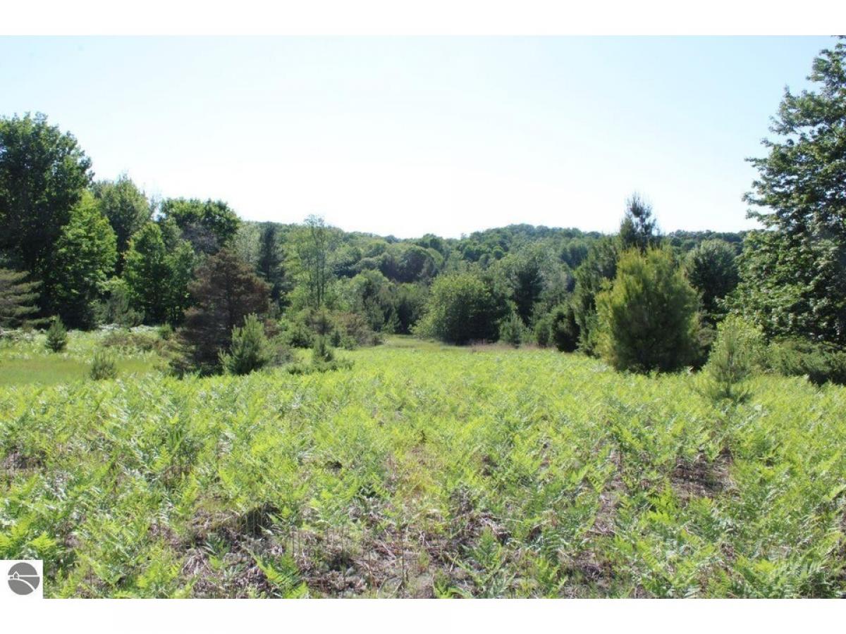 Picture of Residential Land For Sale in Boyne City, Michigan, United States