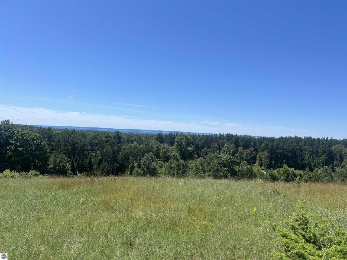 Picture of Residential Land For Sale in Eastport, Michigan, United States