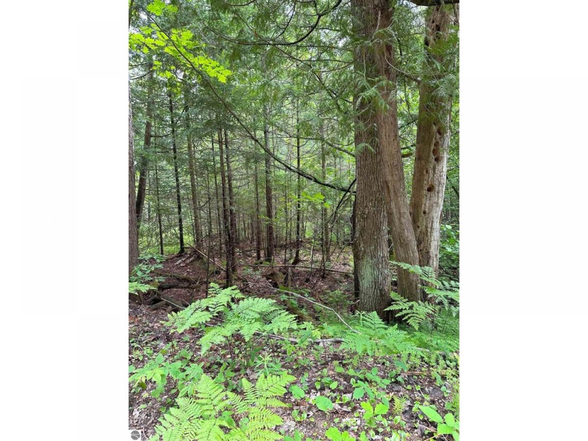 Picture of Residential Land For Sale in Kalkaska, Michigan, United States