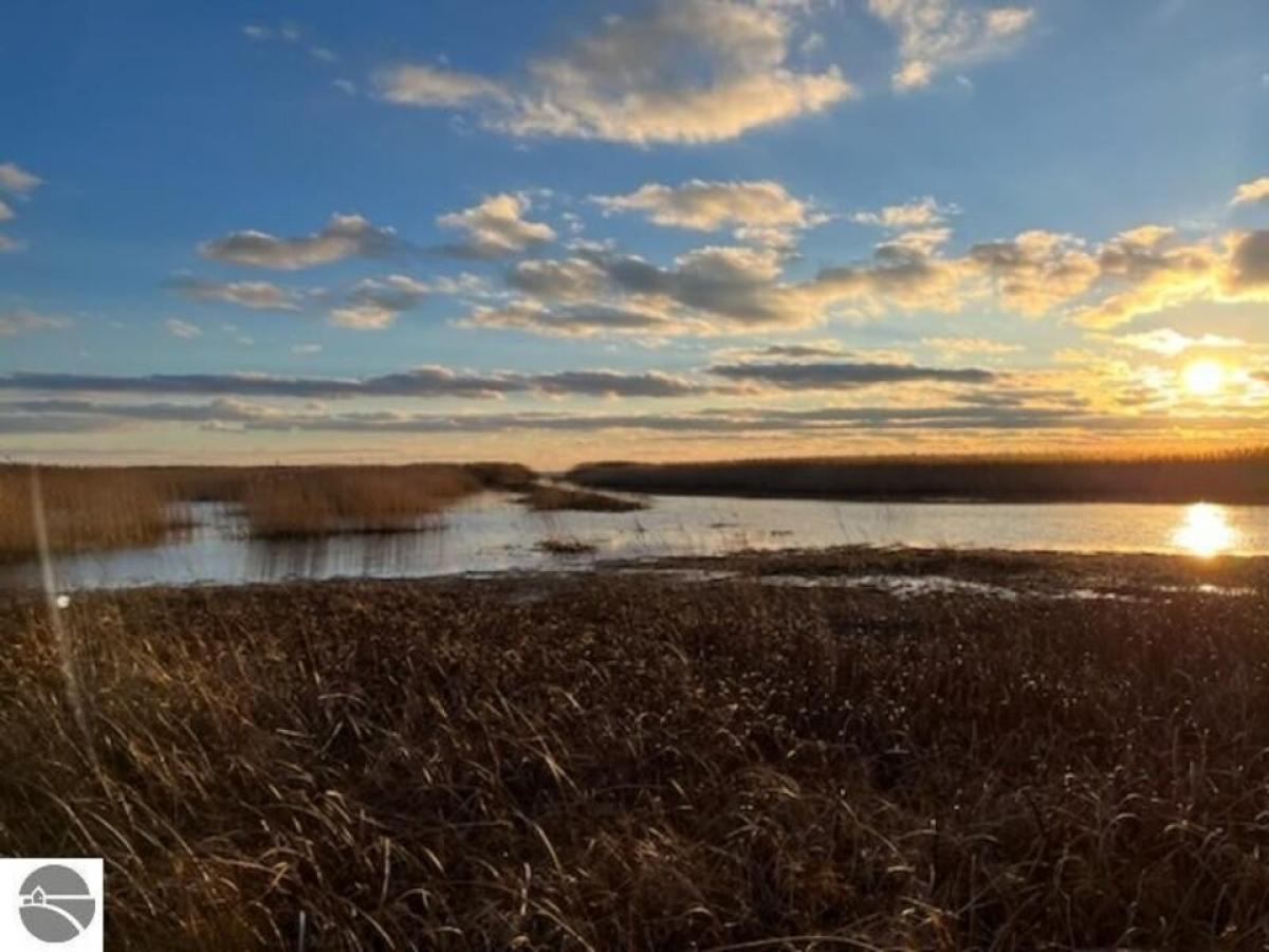 Picture of Residential Land For Sale in Au Gres, Michigan, United States