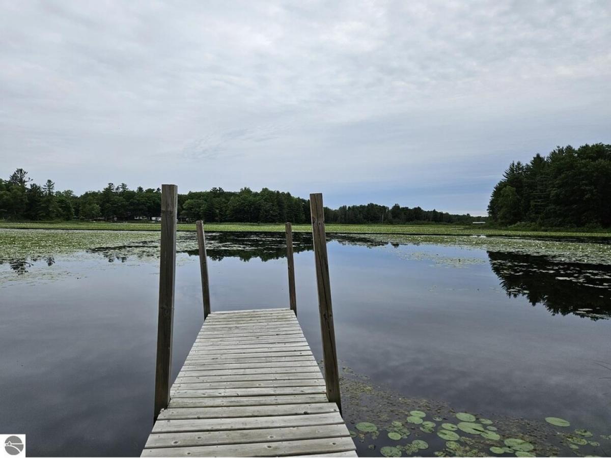 Picture of Residential Land For Sale in Hale, Michigan, United States