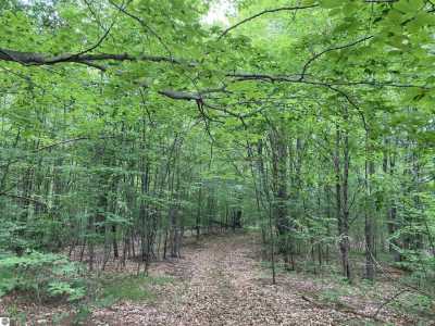 Residential Land For Sale in Lupton, Michigan