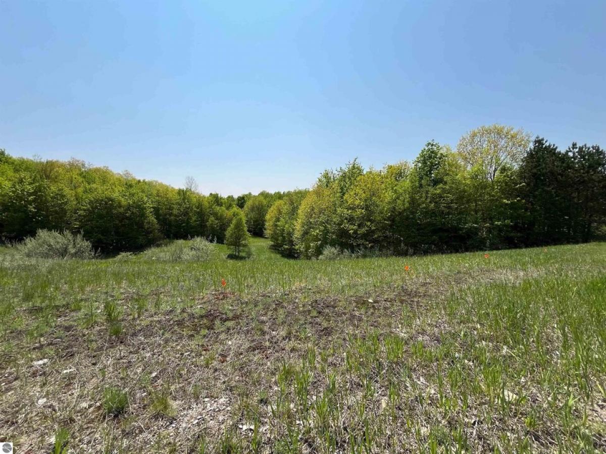 Picture of Residential Land For Sale in Grawn, Michigan, United States