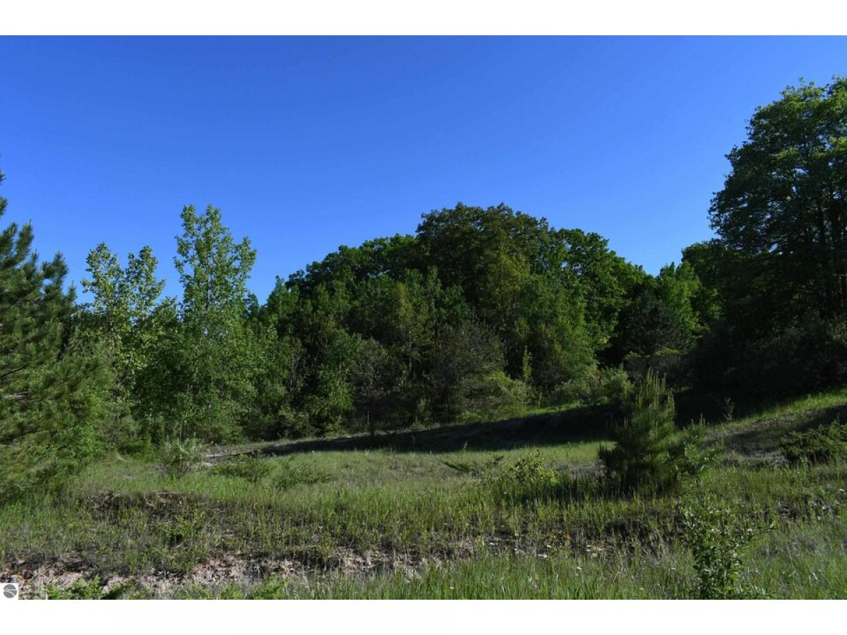 Picture of Residential Land For Sale in Greenbush, Michigan, United States