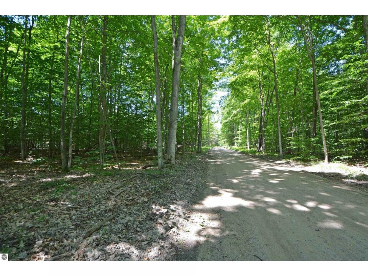 Picture of Residential Land For Sale in Benzonia, Michigan, United States