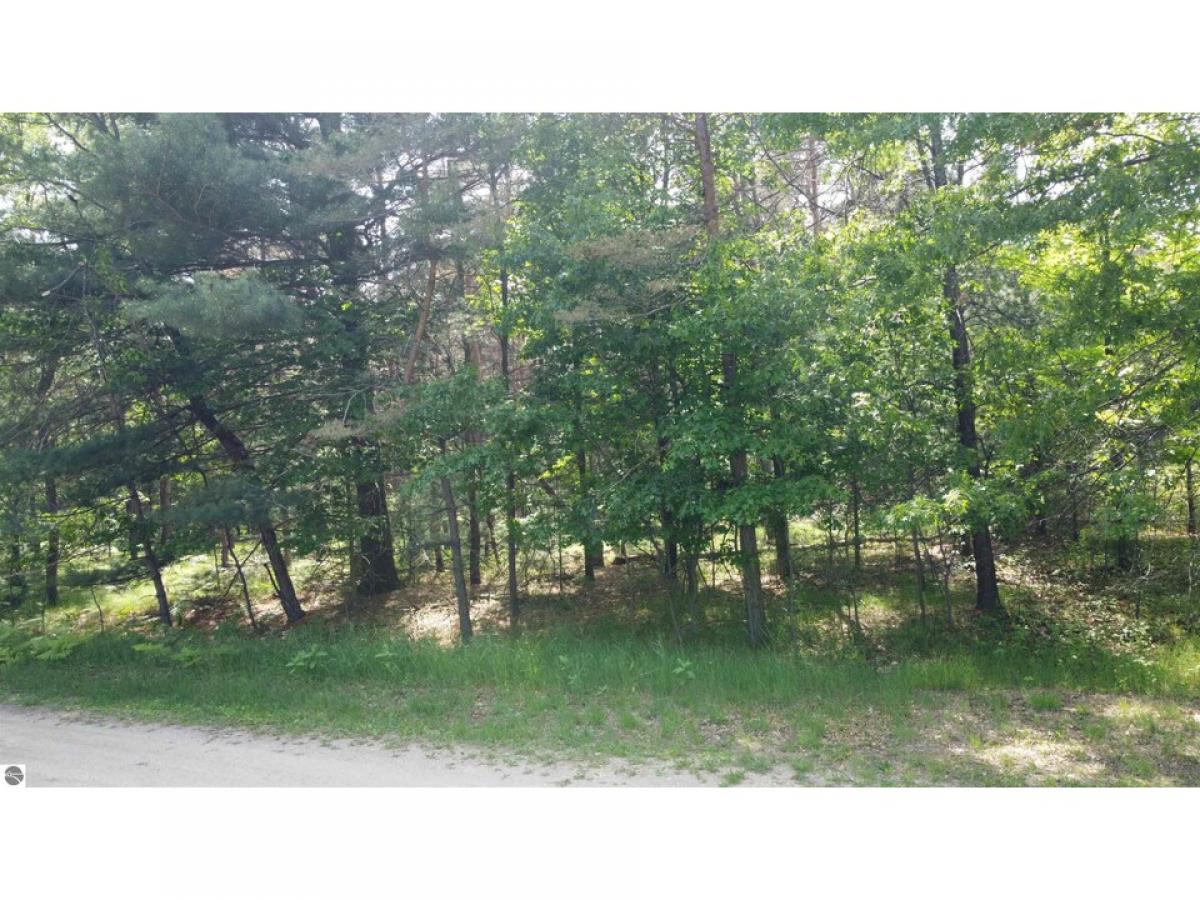 Picture of Residential Land For Sale in Alger, Michigan, United States