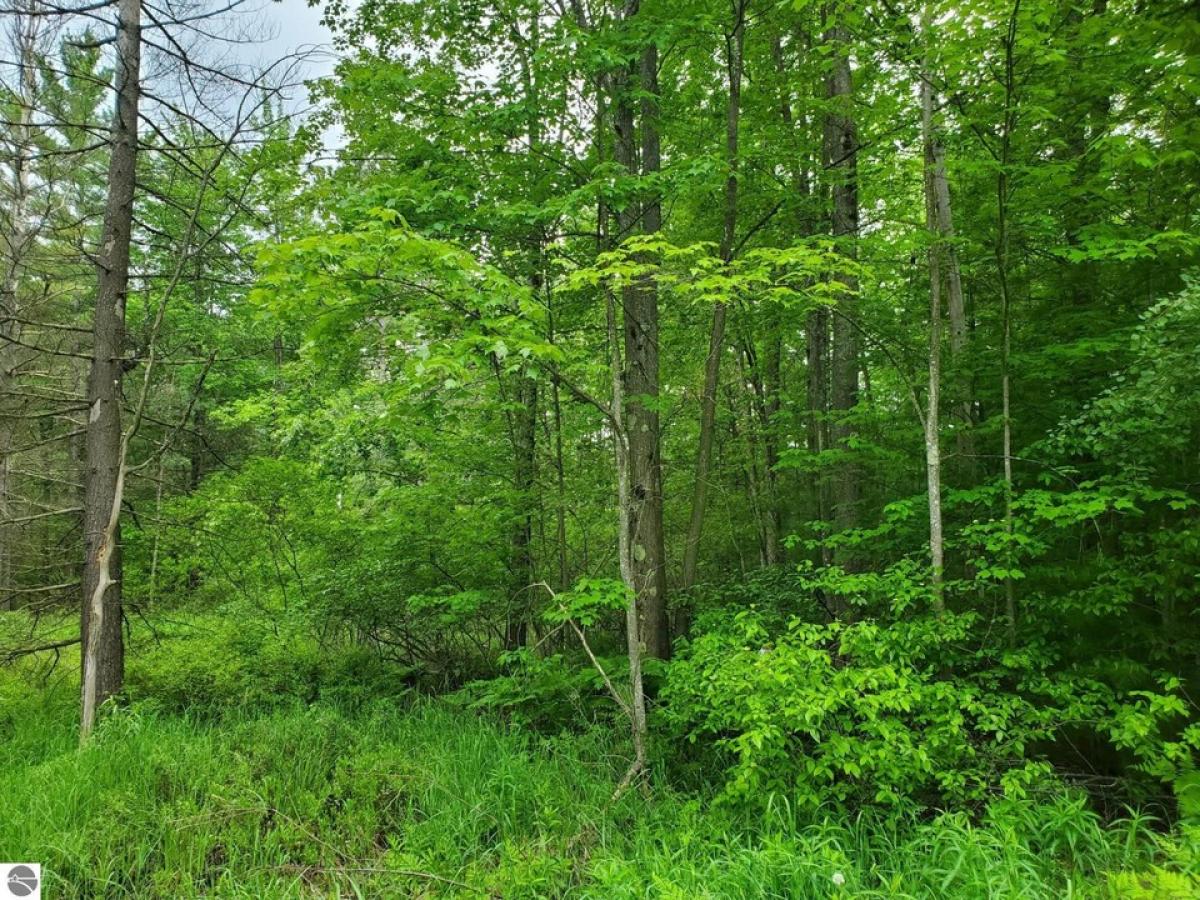 Picture of Residential Land For Sale in Prescott, Michigan, United States