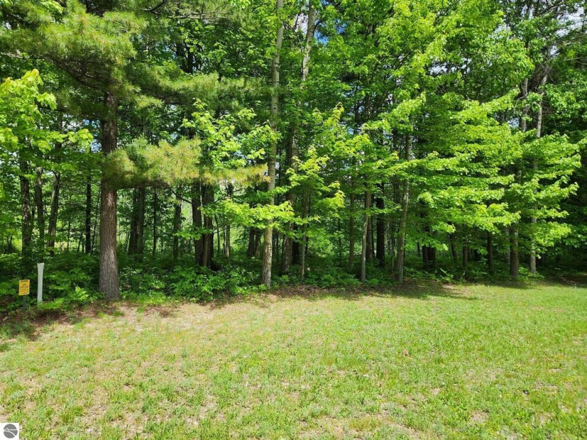 Picture of Residential Land For Sale in Tawas City, Michigan, United States