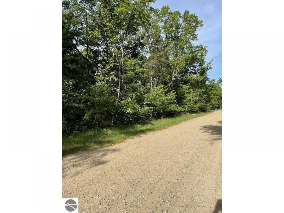 Picture of Residential Land For Sale in Alger, Michigan, United States