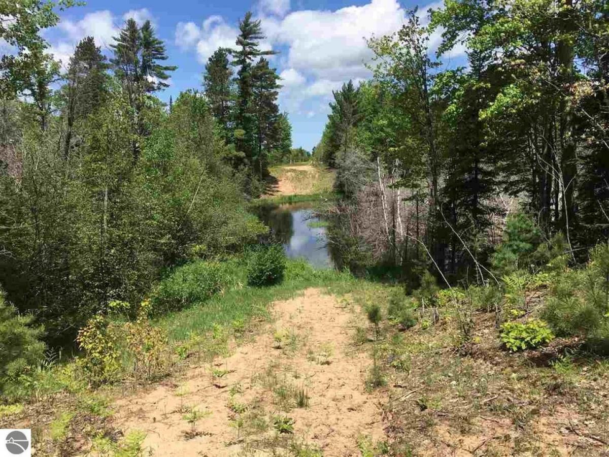 Picture of Residential Land For Sale in Grand Traverse, Michigan, United States